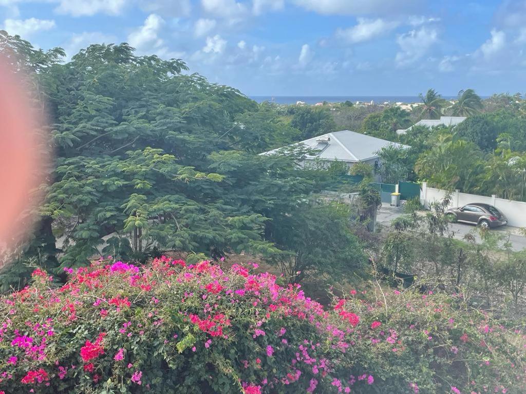Villa Ste Marthe Avec Piscine, Grande Terrasse, Jardin Intime Et Citerne D'Eau Saint-Francois  Luaran gambar